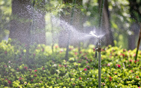 一般四川苗圃基地常用的浇水方法